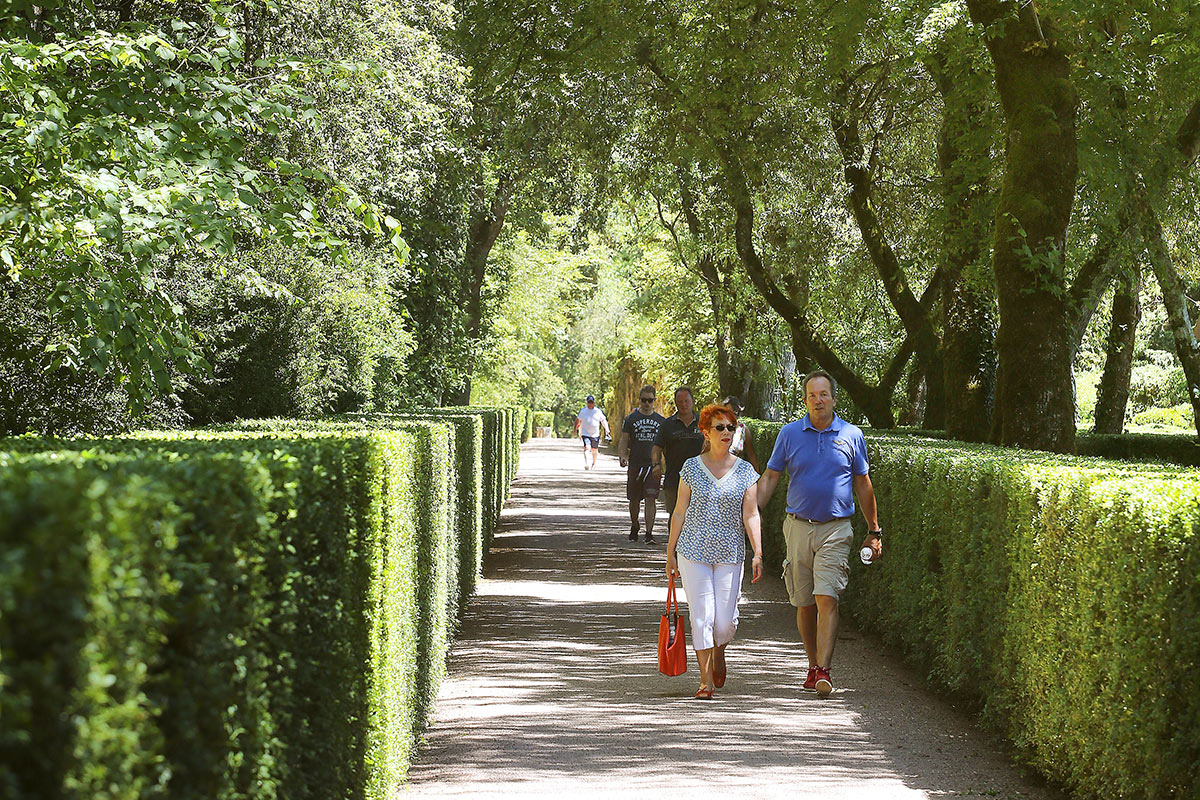 La Grande allée des jardinsDordogne - Jardins Suspendus de Marqueyssac
