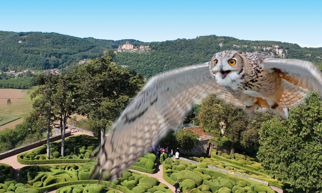 Visiteurs individuels - A la découverte des habitants cachés de Marqueyssac