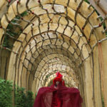 Allée des arches  -  Jardins suspendus de Marqueyssac en Dordogne