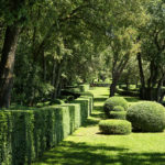 Esplanade - Jardins de Marqueyssac en Dordogne
