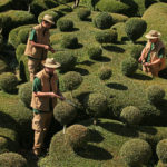 Soirées Chandelles -  Jardins suspendus de Marqueyssac en Dordogne