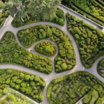 Vue aérienne -  Jardins suspendus de Marqueyssac en Dordogne