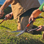 conseilsdujardinier conseilsdujardinier