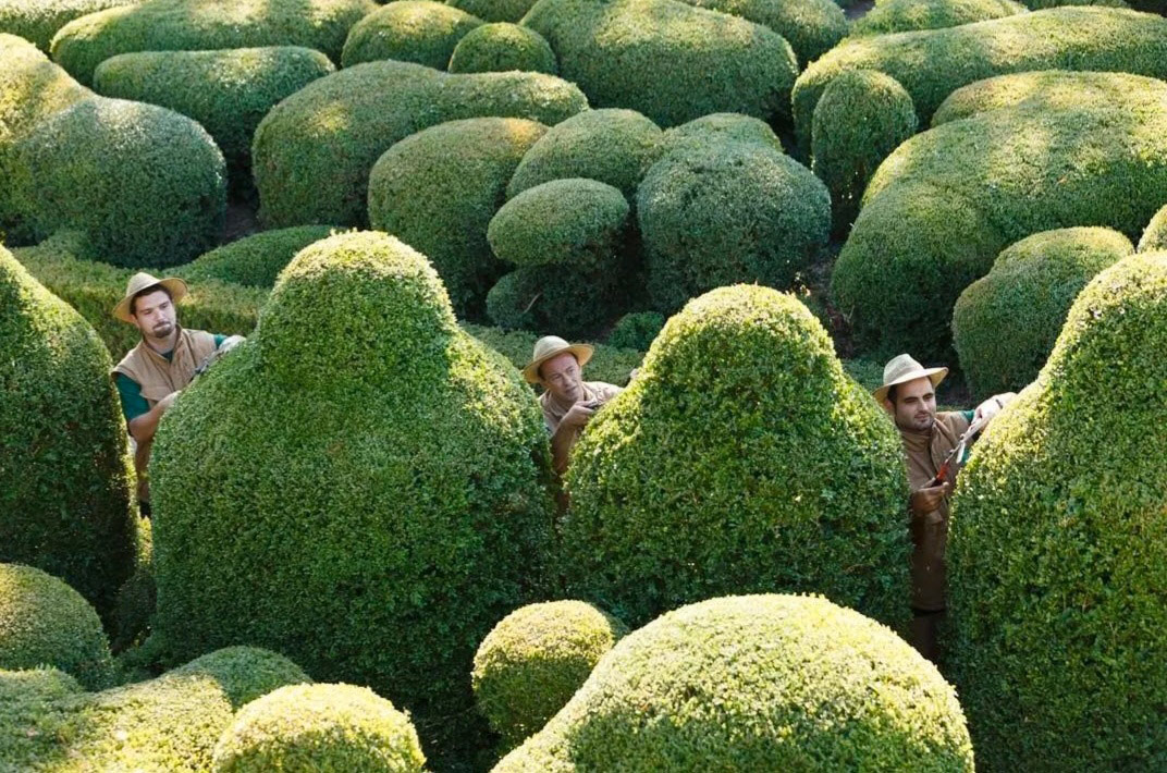 Jardins suspendus de Marqueyssac - 25 ans journée portes ouvertes TAILLE DES JARDINIERS