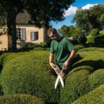 Taille de buis aux jardins de Marqueyssac