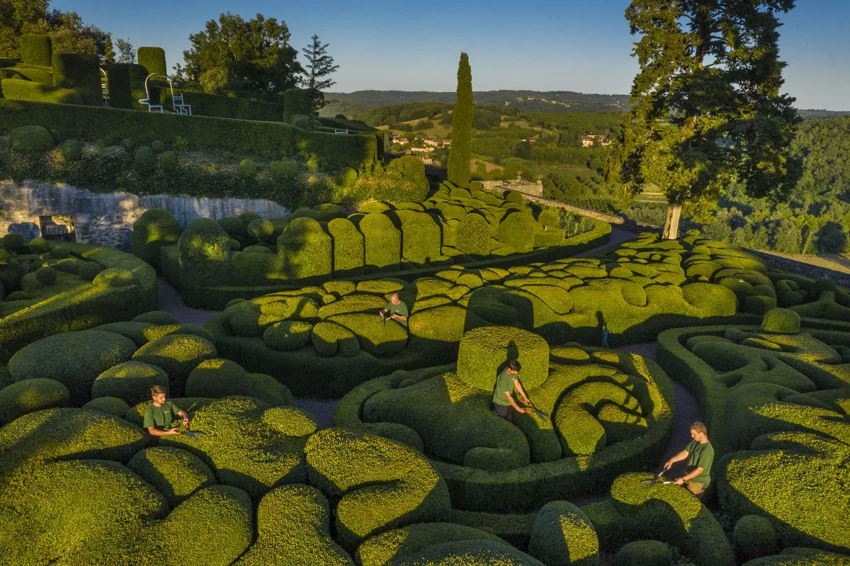 Marqueyssac, gardeners pruning boxwood (aerial view)