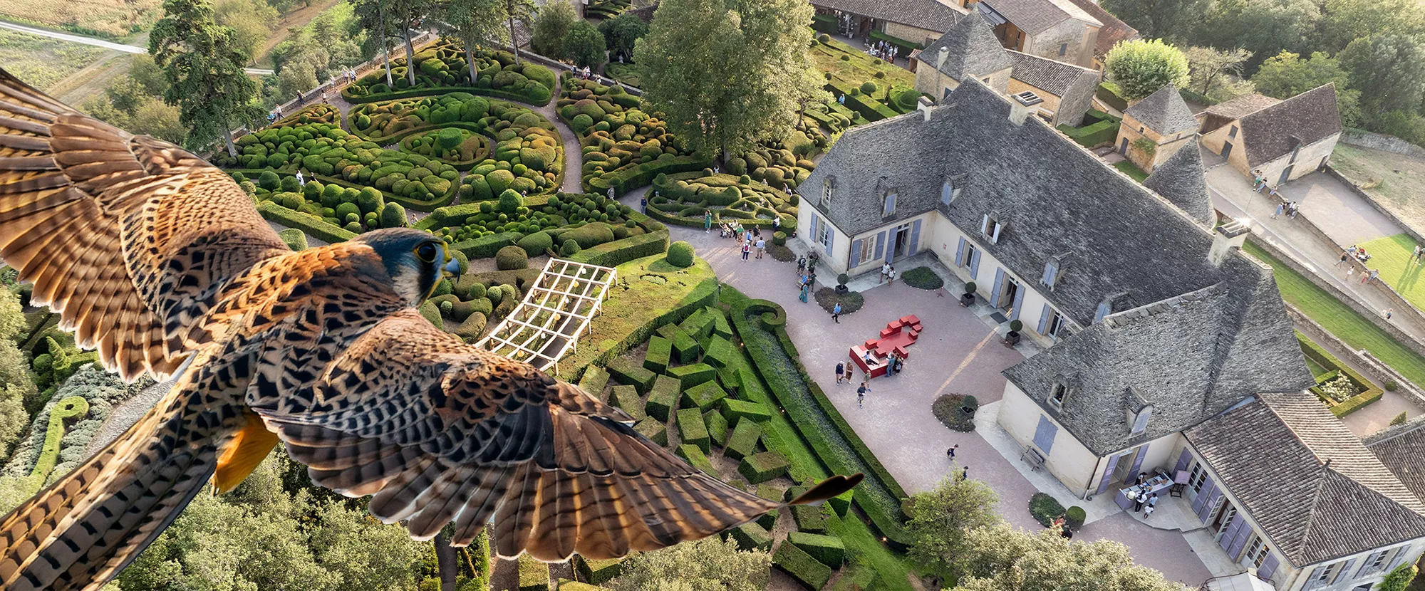 Une journée dédiée aux oiseaux - Jardins de Marqueyssac en Dordogne